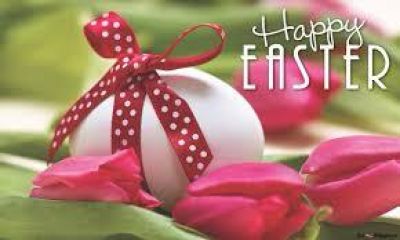 c5b3ba80-7fa1-4524-b346-55502d59feca